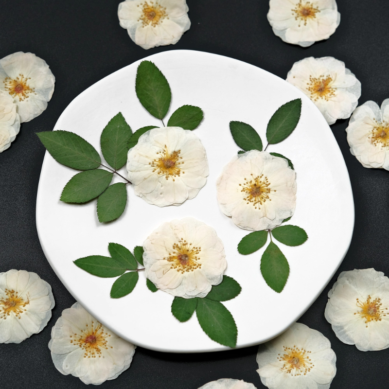 Wax Seal Stamp Kit - 6pcs,9pcs,Nature White Rose Pressed Flowers DIY