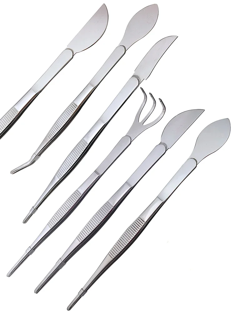 1pc 2-in-1  304 Stainless Stee - Scissors Stainless Craft 评论和价格