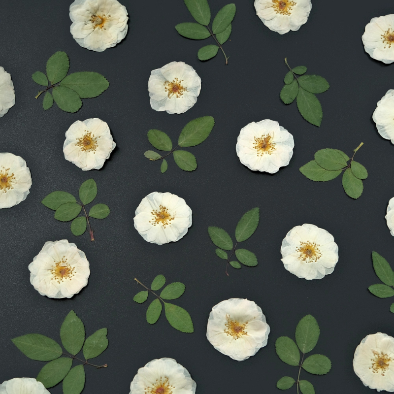6pcs,9pcs,Nature White Rose Pr - Wax Seal Stamp Kit 评论和价格