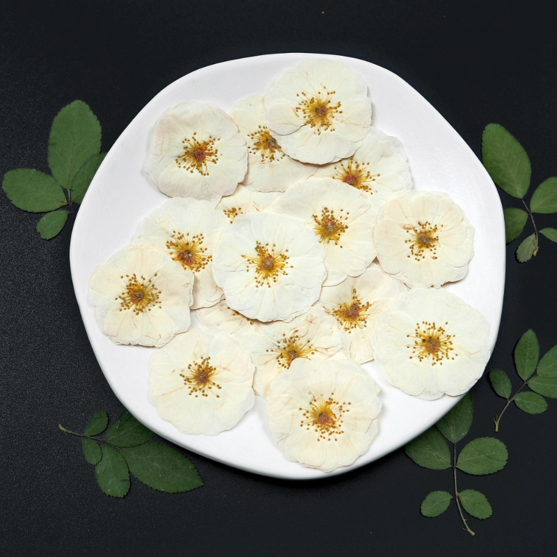 6pcs,9pcs,Nature White Rose Pr - Wax Seal Stamp Kit 评论和价格
