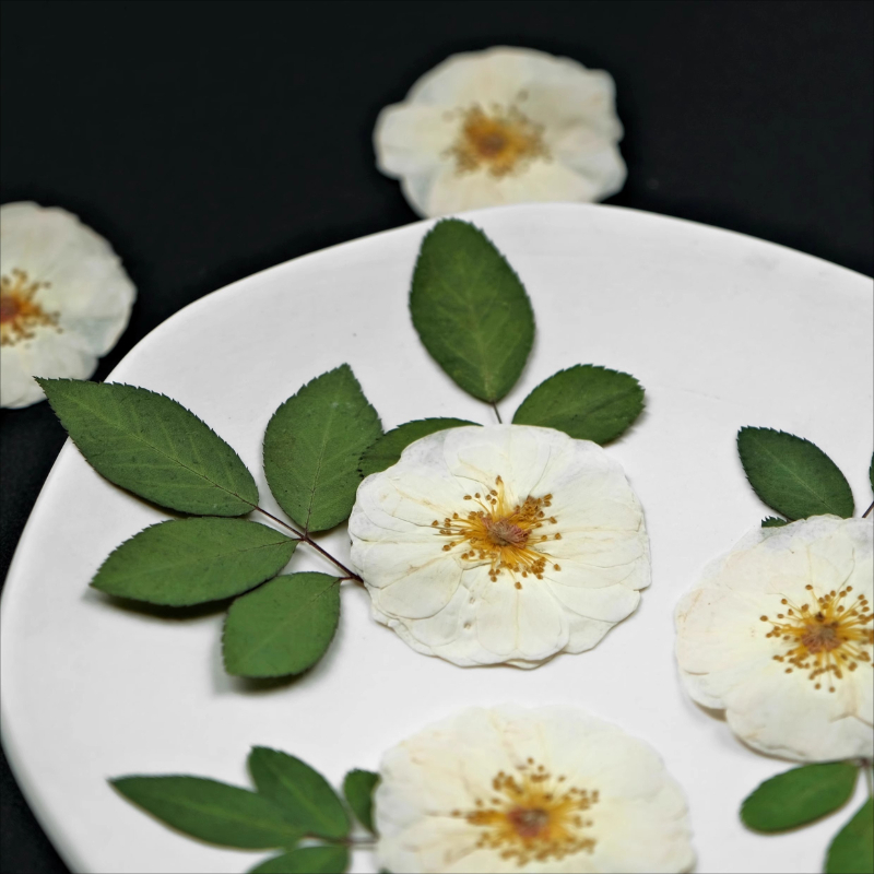 6pcs,9pcs,Nature White Rose Pr - Wax Seal Stamp Kit 评论和价格